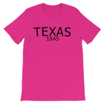 Load image into Gallery viewer, Texas established date 1845 Unisex short sleeve t-shirt
